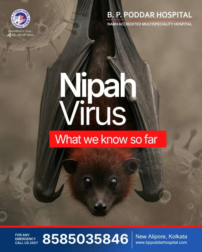 nipah virus